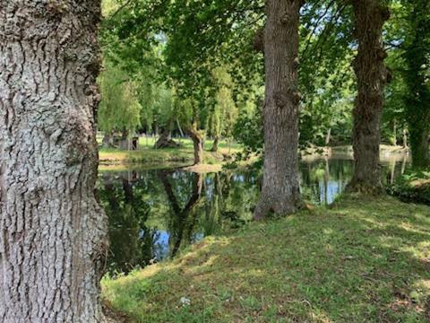 La Demeure Romantique Bazouges-sous-Hede Exterior foto