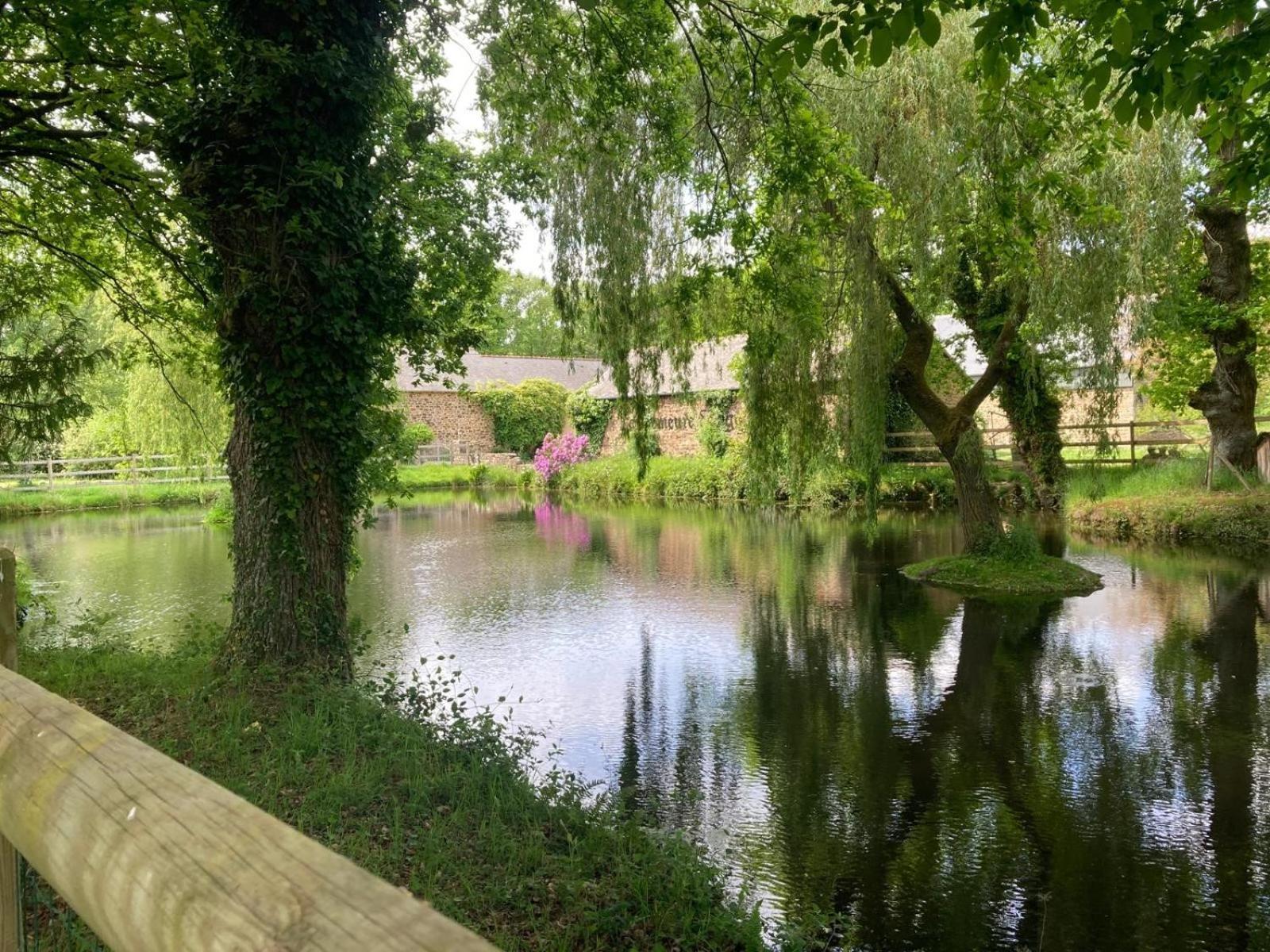 La Demeure Romantique Bazouges-sous-Hede Exterior foto