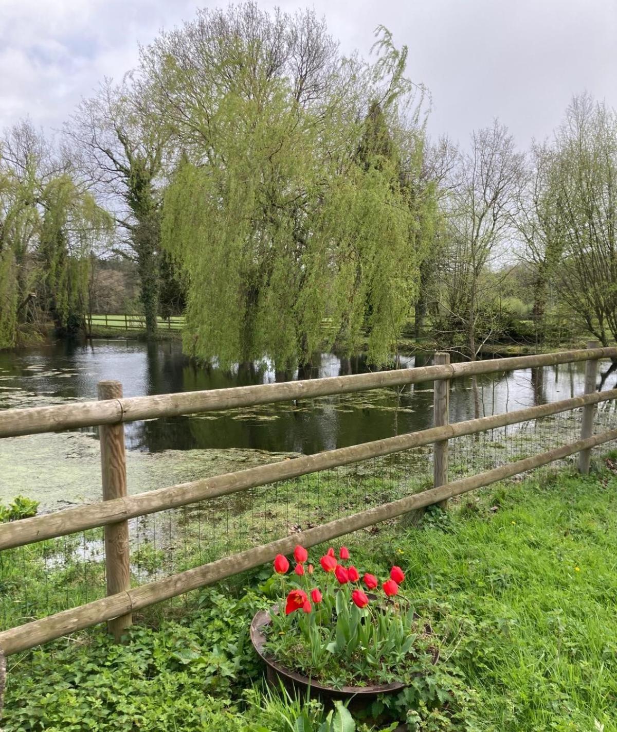La Demeure Romantique Bazouges-sous-Hede Exterior foto
