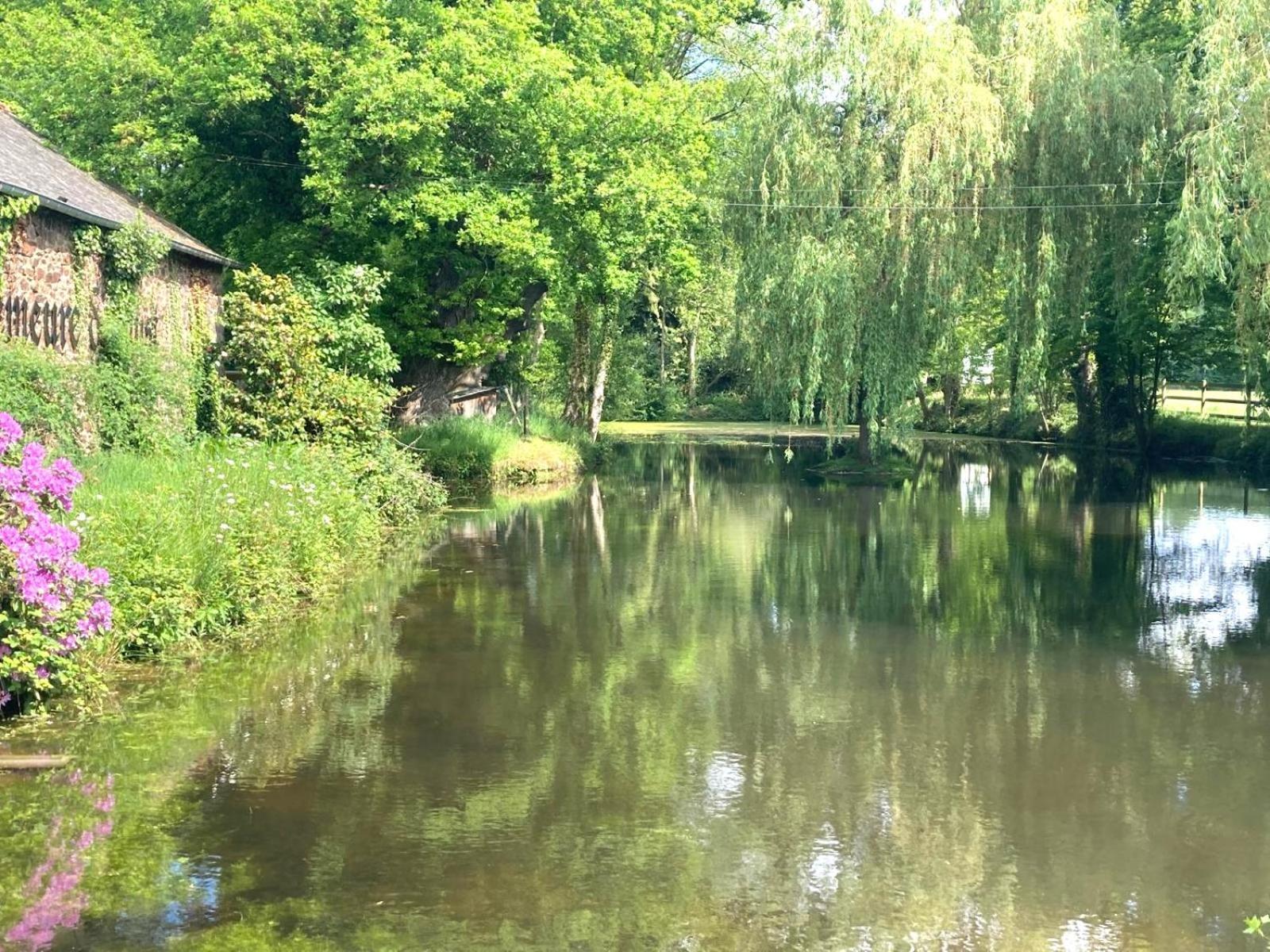 La Demeure Romantique Bazouges-sous-Hede Exterior foto